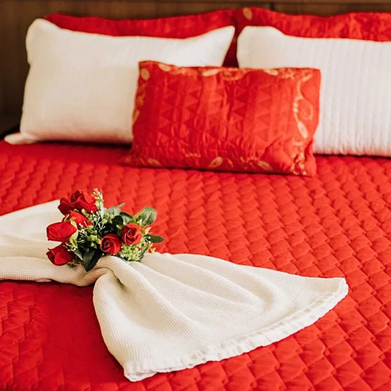 Trindade Plaza Hotel — foto 4